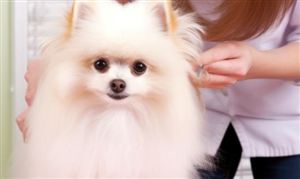 Kaiyun中国：油墨行业市场分析及发展前景：环保型油墨或迎较大发展空间(图6)