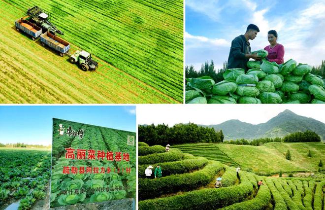 Kaiyun中国：连续8年增长！康师傅交出年收入806亿的成绩单(图8)