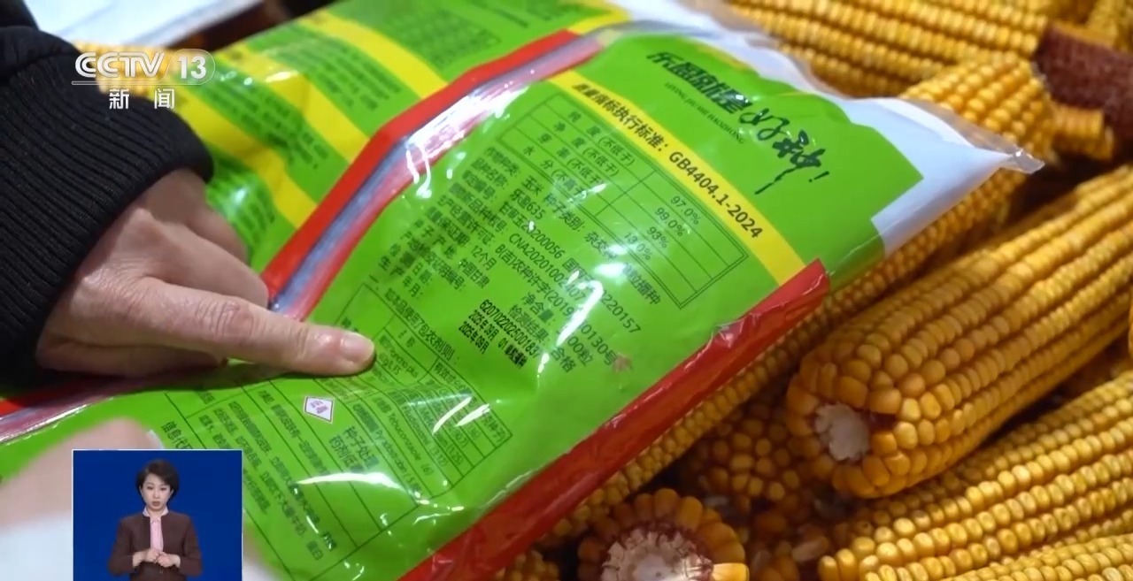 开云网站：春耕选种要“避坑”四项指标检验种子真假优劣(图1)