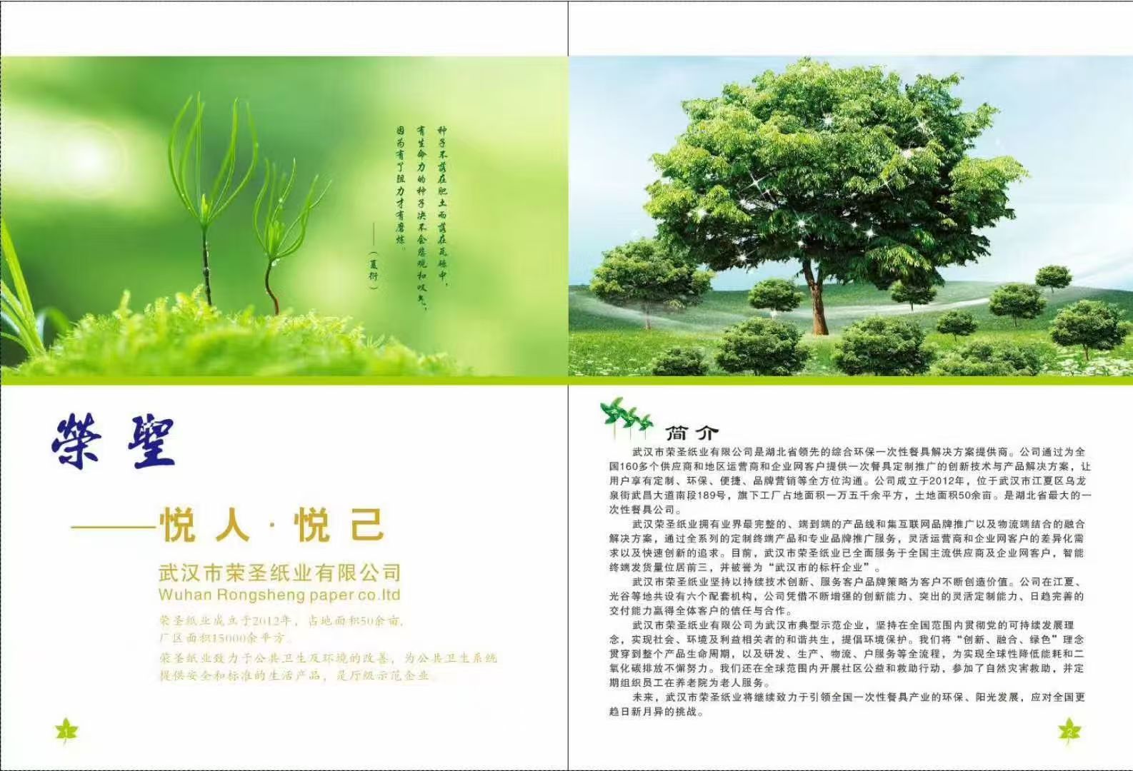 Kaiyun中国：2026年近期国内纸杯定制服务商综合能力评估与选型指南(图1)